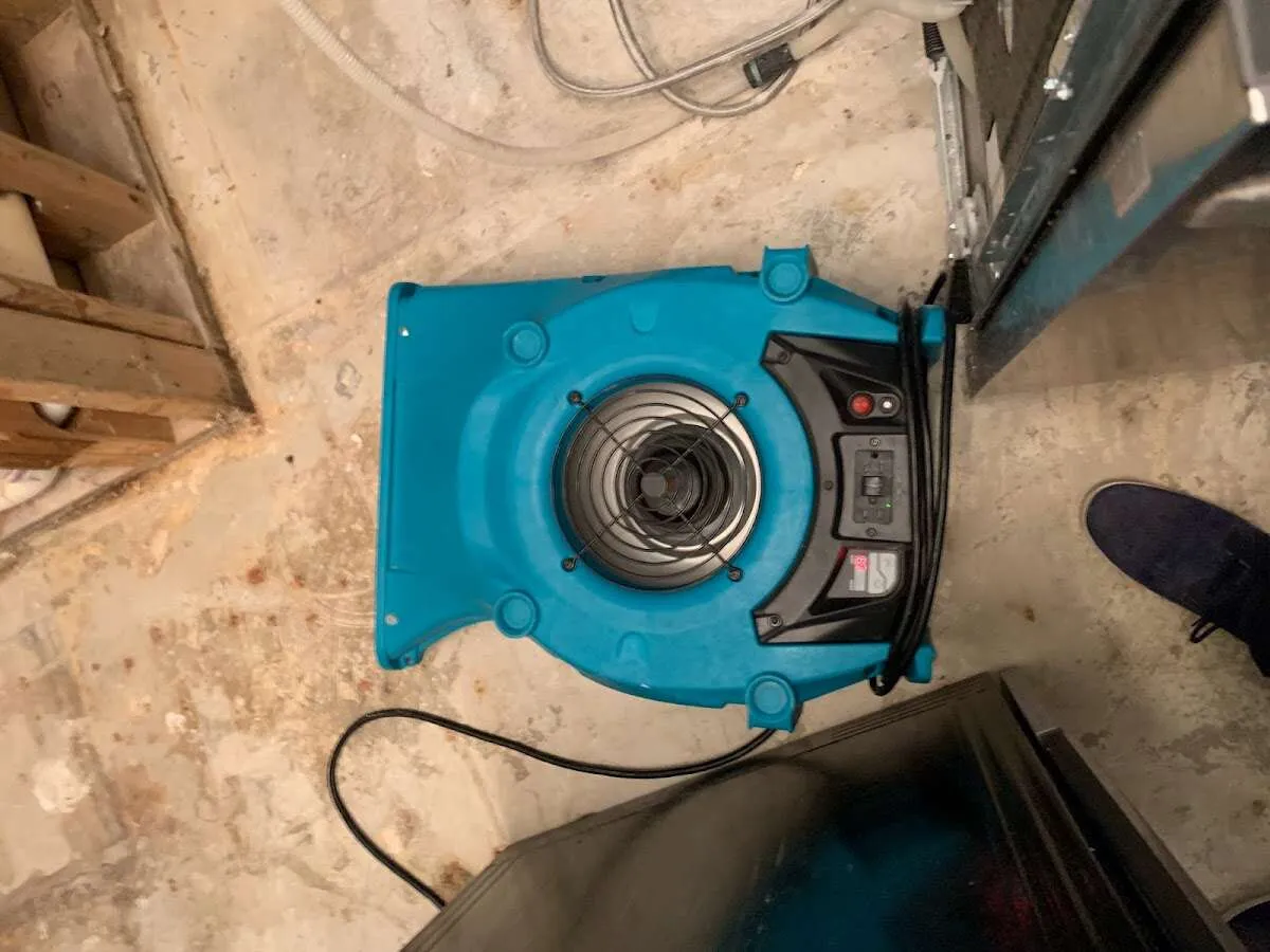 Air mover drying equipment for Mold Remediation & Removal in Bogalusa
