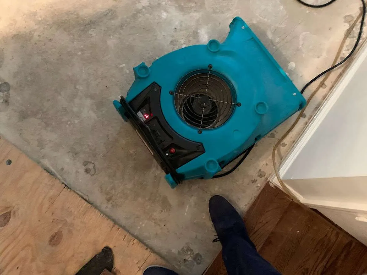 Air mover drying subfloor during Commercial Water Damage Restoration in Bogalusa